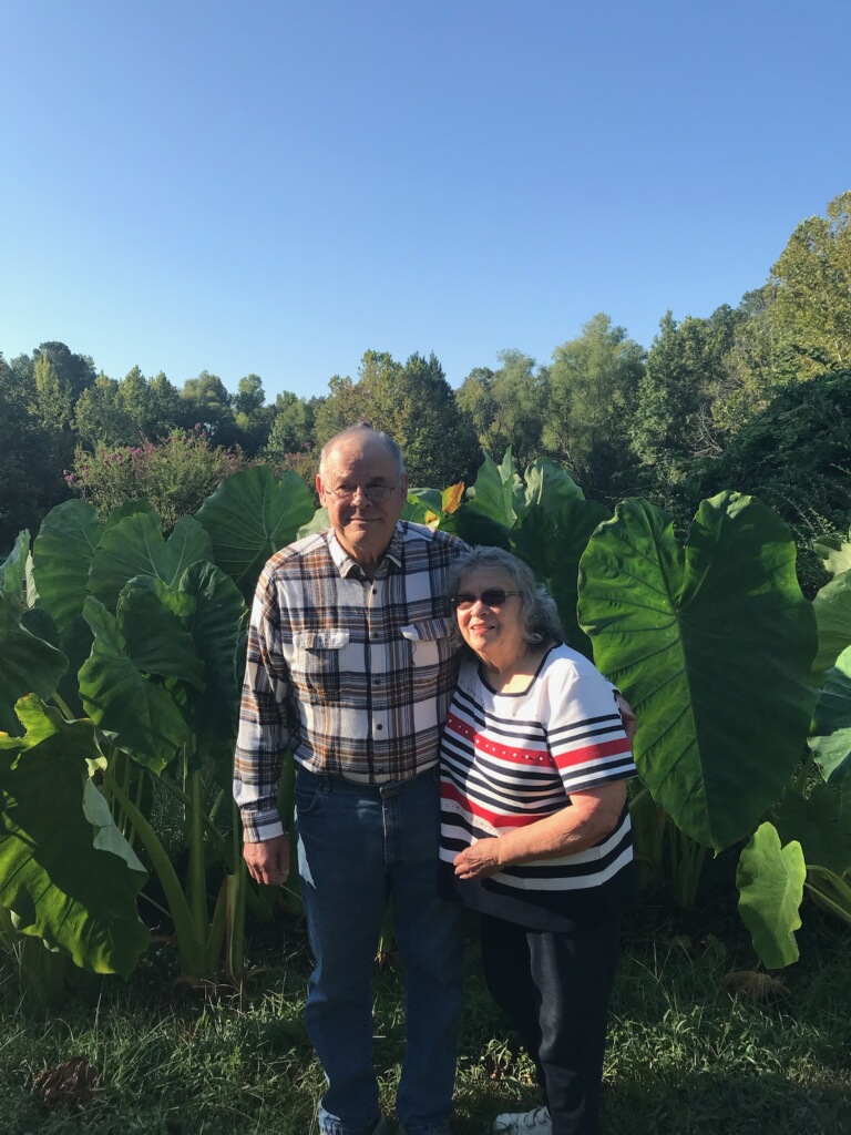 Sweet Mom and Dad